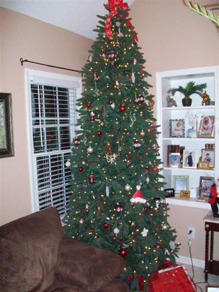 08treepics_034_Medium_