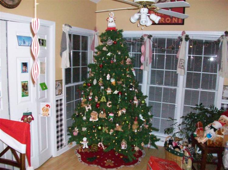 08treepics_035_Medium_