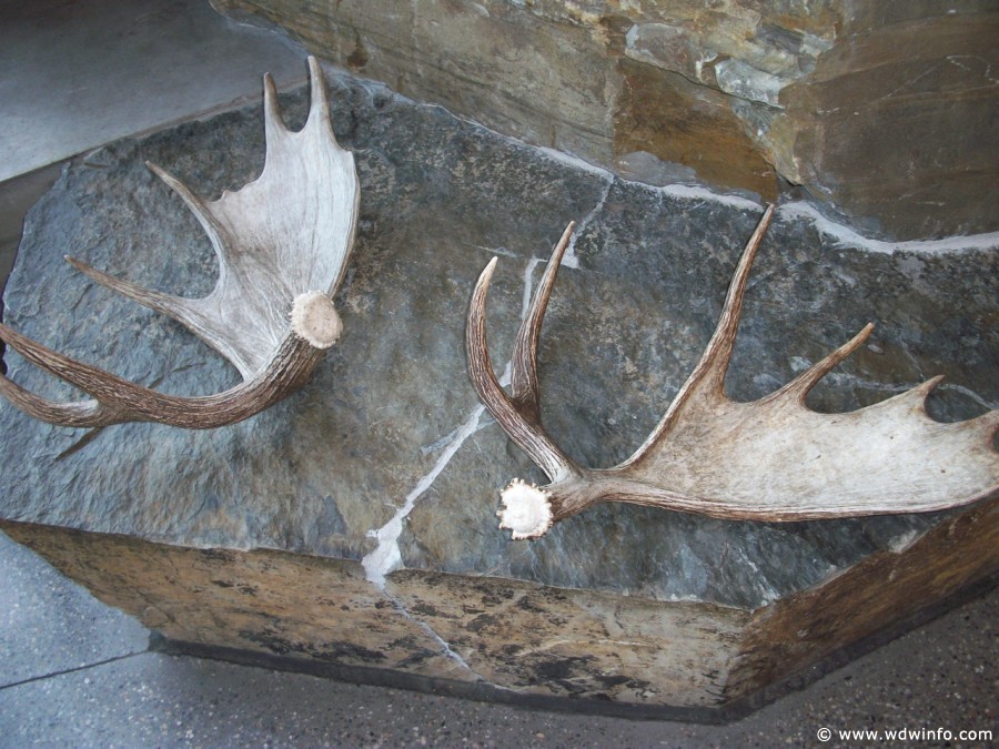 1-Teton-National-Park-011
