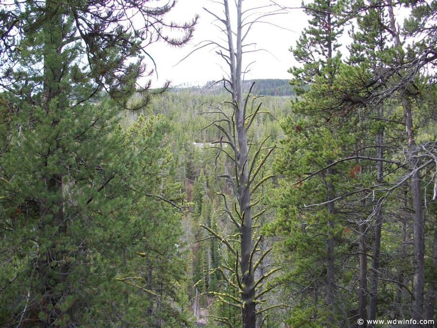 1-Yellowstone-Upper-Falls-004