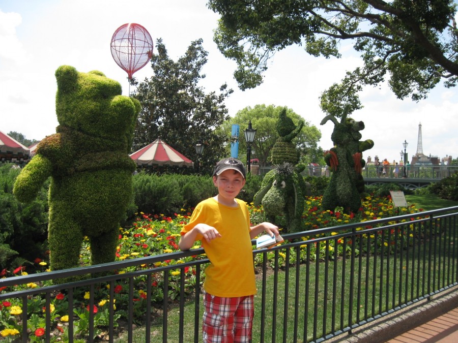 100 Acre Wood