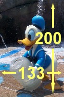 133x200_Sample