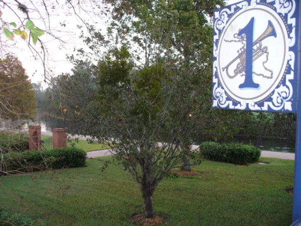 146