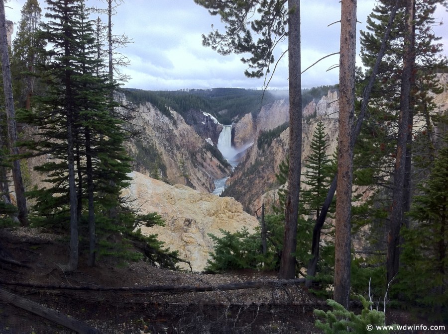 2-Grand-Canyon-Yellowstone-006