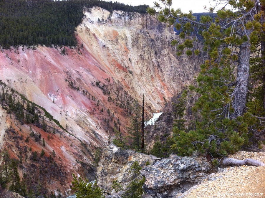 2-Grand-Canyon-Yellowstone-007