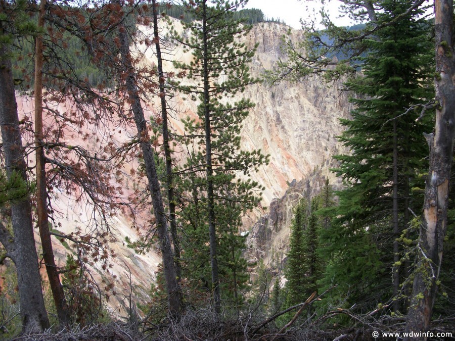 2-Grand-Canyon-Yellowstone-015