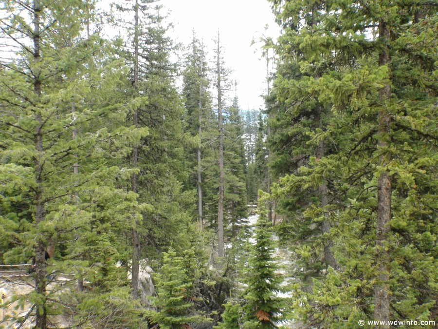 2-Hidden-Falls-013