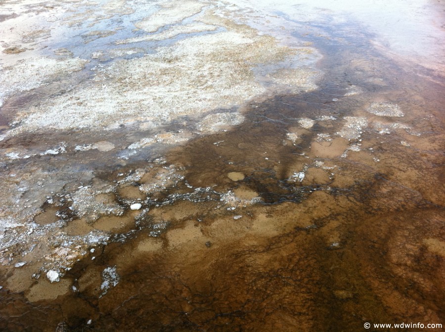 2-Upper-Geyser-Basin-014