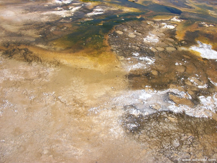 2-Upper-Geyser-Basin-061