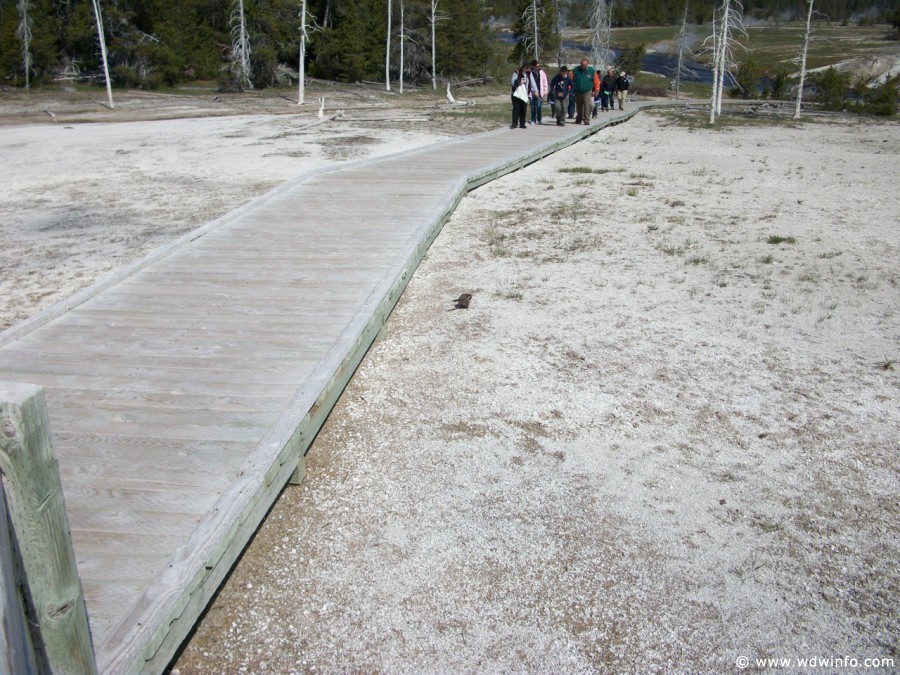 2-Upper-Geyser-Basin-083