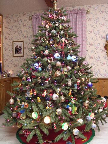2005 71/2ft tree