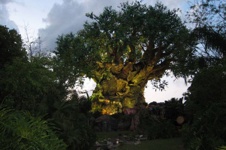 20070414 AK Tree of Life at night