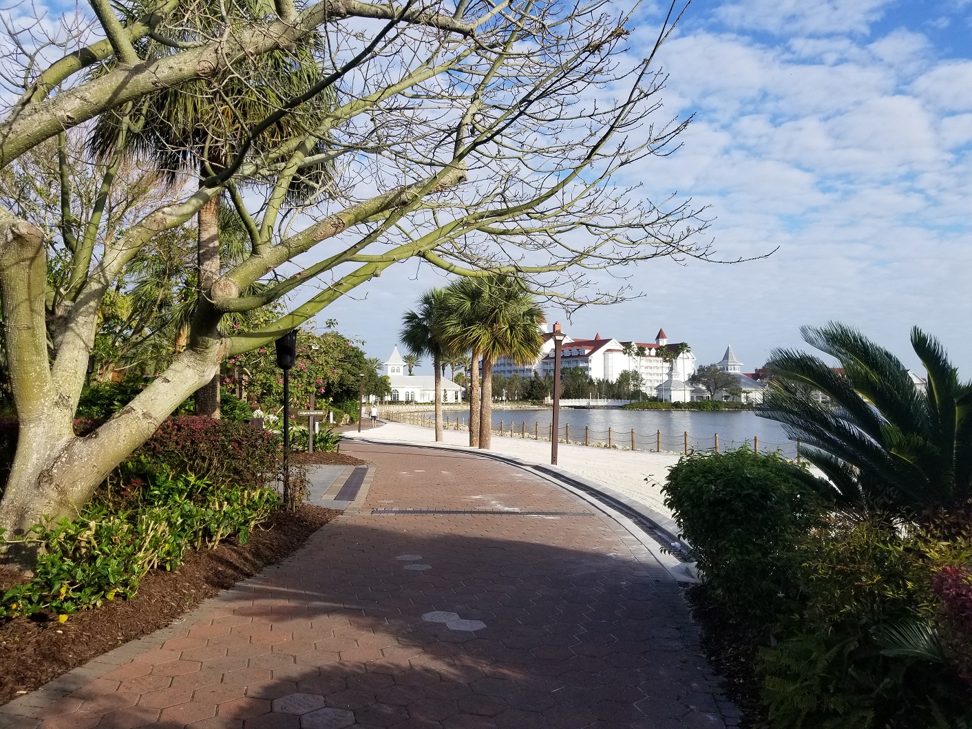 20180225_082317