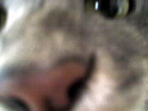 27_05_04_1016b