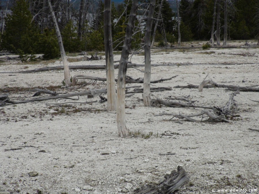 4-West-Thumb-Geyser-Basin-003