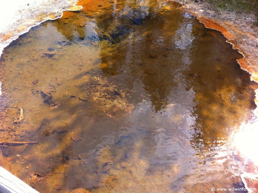 4-West-Thumb-Geyser-Basin-022