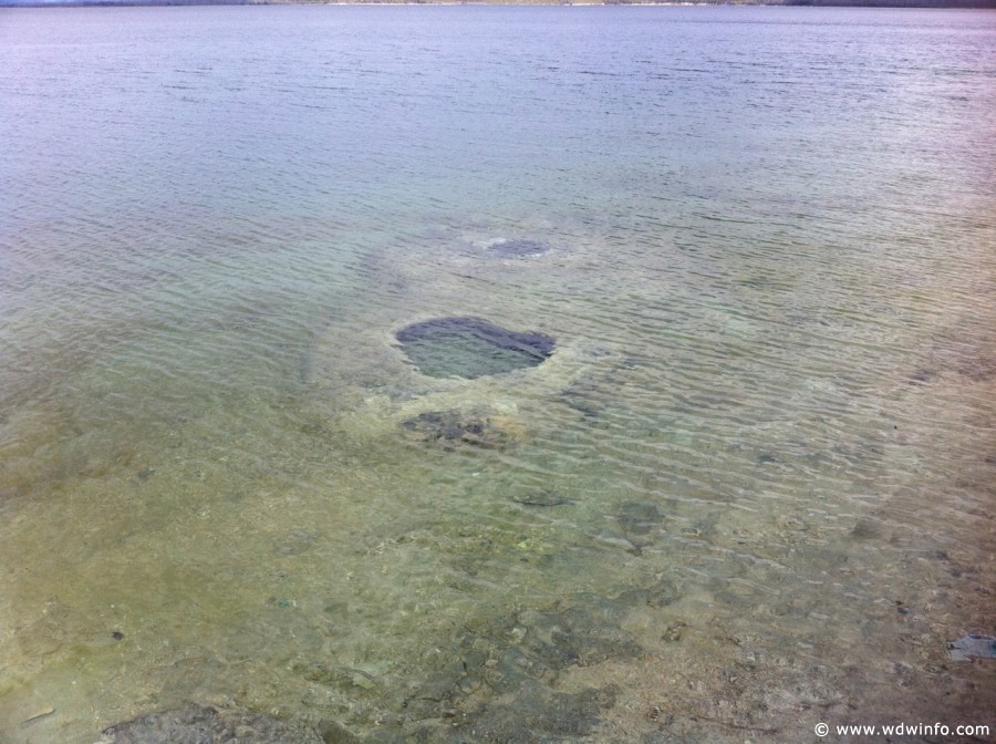 4-West-Thumb-Geyser-Basin-023