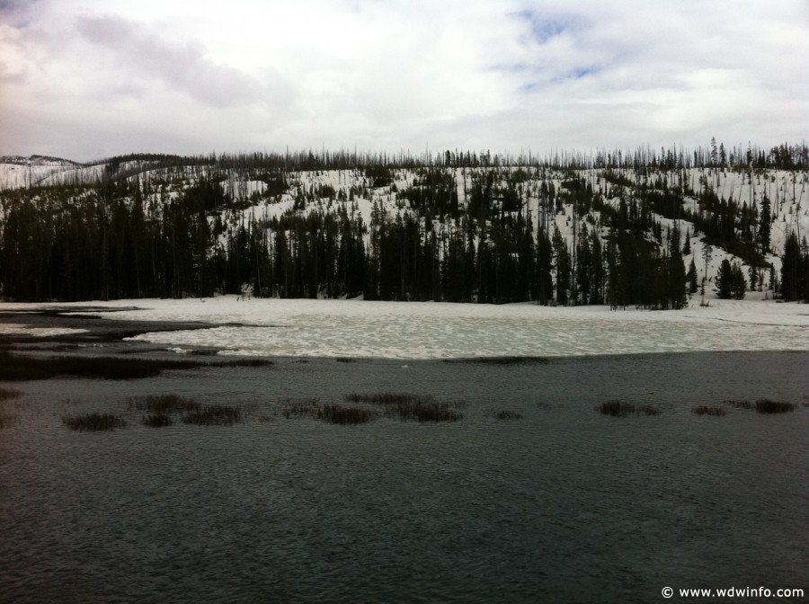 5-Yellowstone-Drive-003