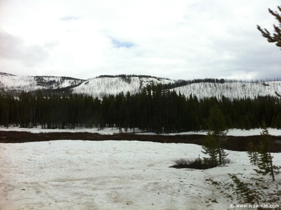 5-Yellowstone-Drive-004