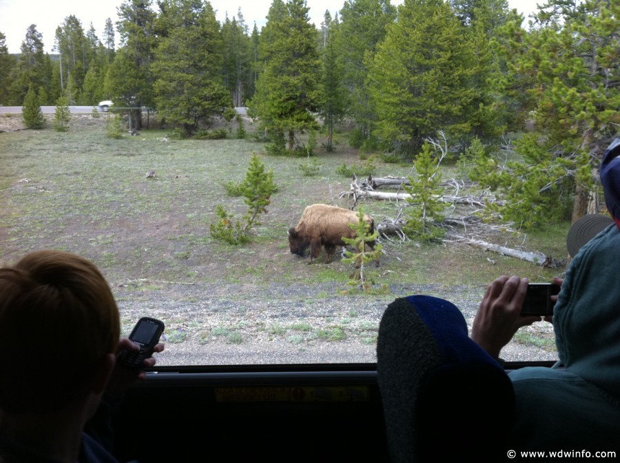 5-Yellowstone-Drive-005