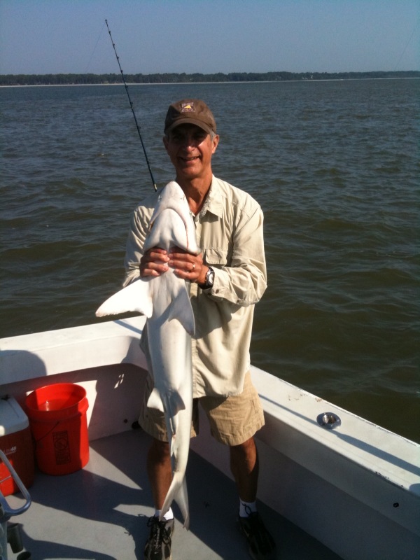 50" Dusky