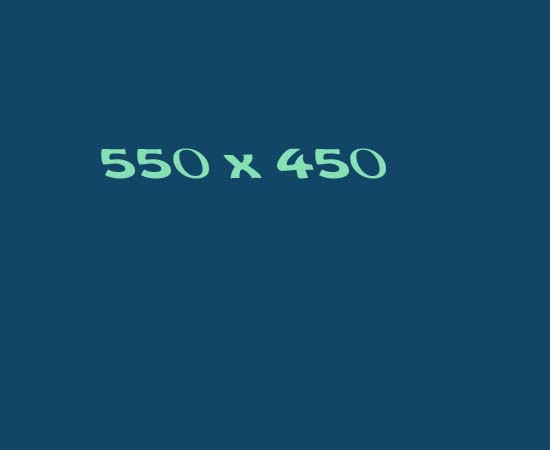 550x450