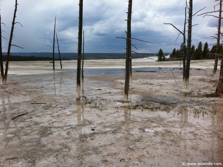 6-Lower-Geyser-Basin-001