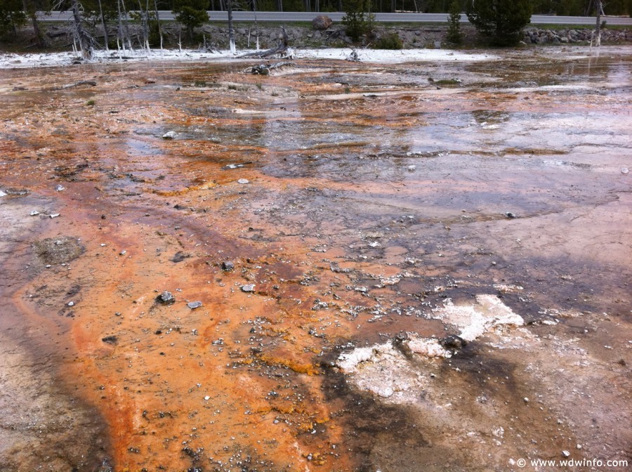 6-Lower-Geyser-Basin-003