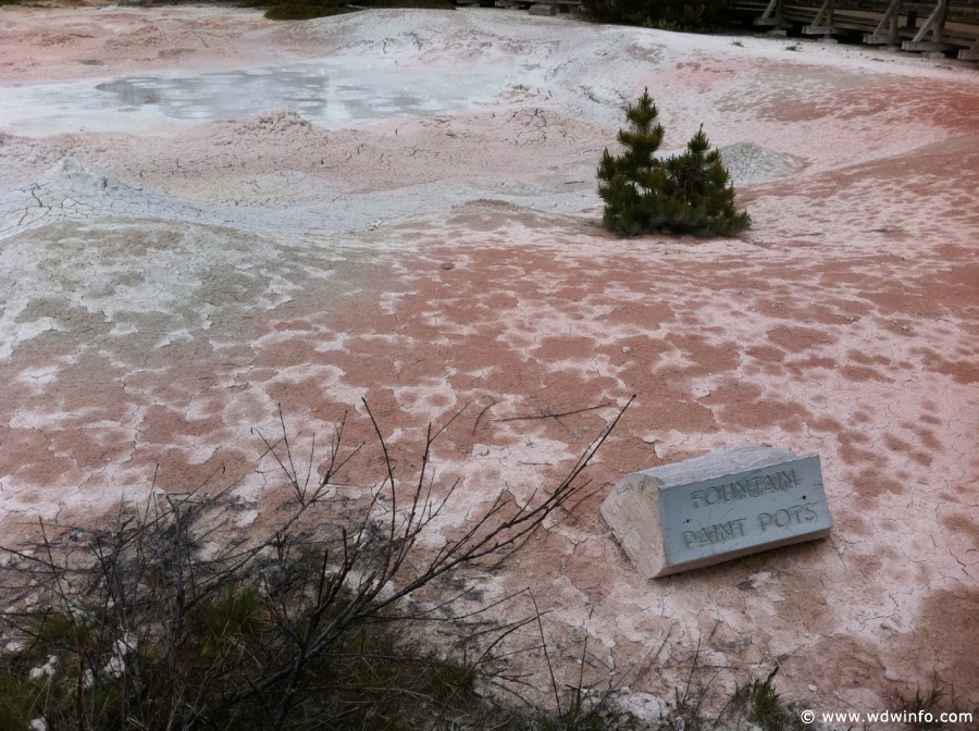 6-Lower-Geyser-Basin-005