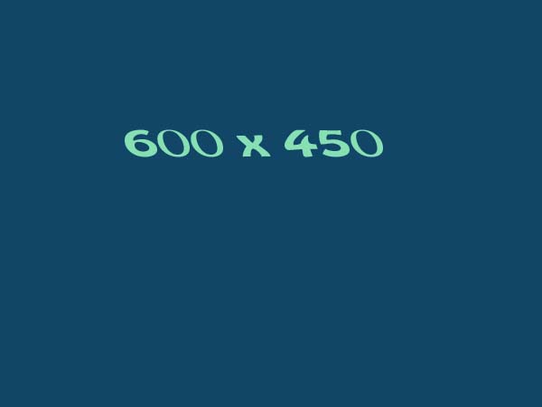 600x450