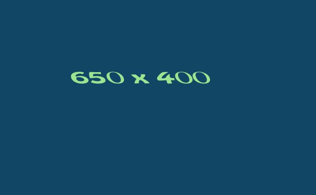 650x400