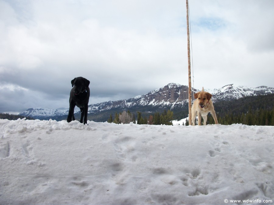 8-Brooks-Lake-Lodge-030