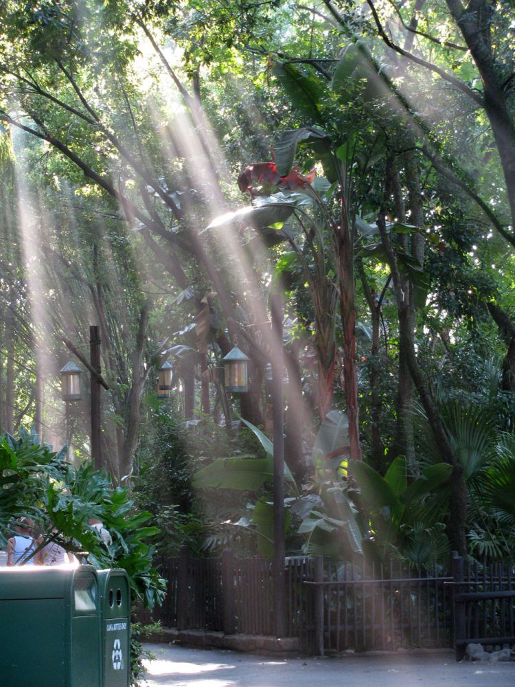 9-10_WDW_137