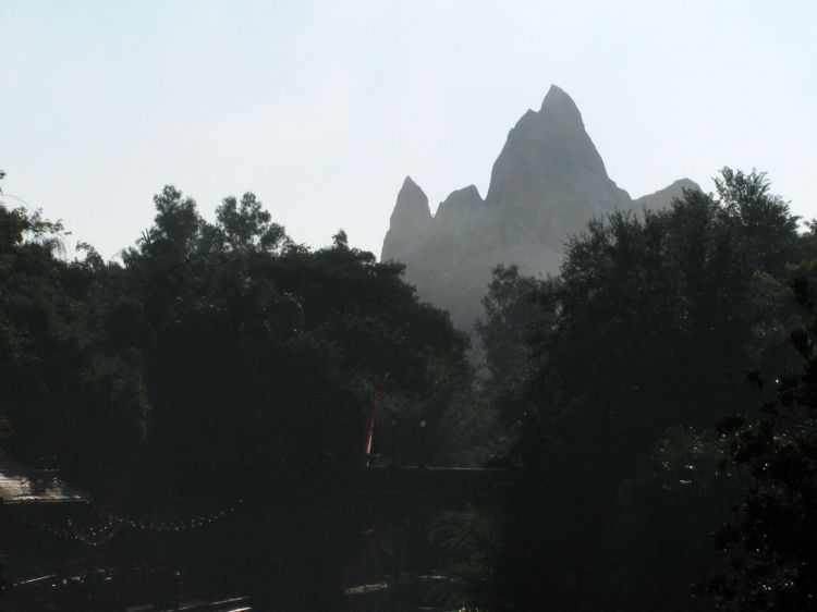 9-10_WDW_144