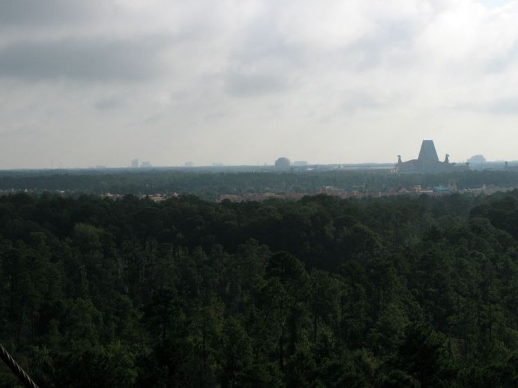 9-10_WDW_156