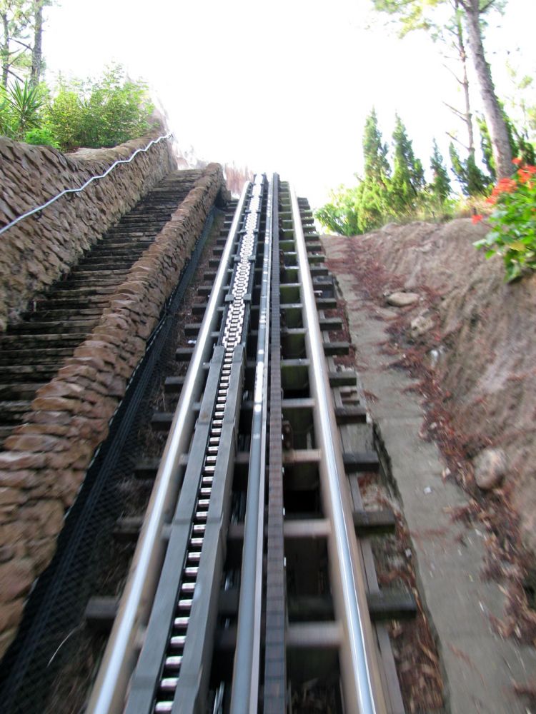 9-10_WDW_162