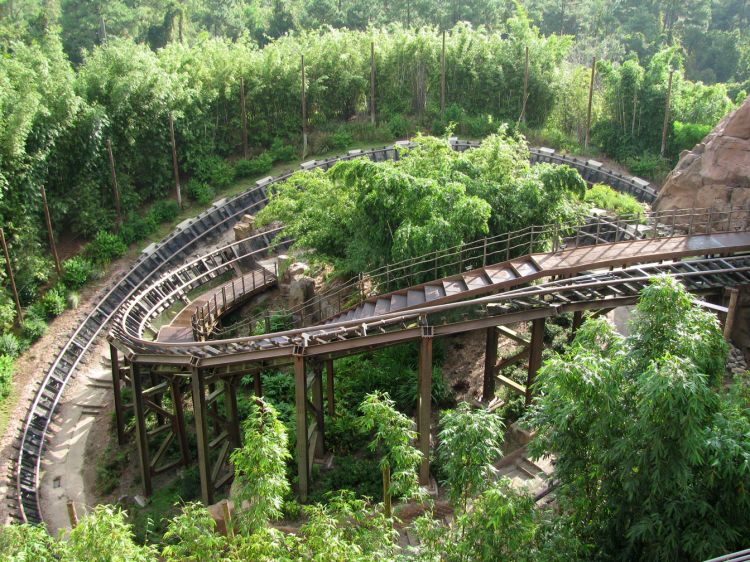 9-10_WDW_173