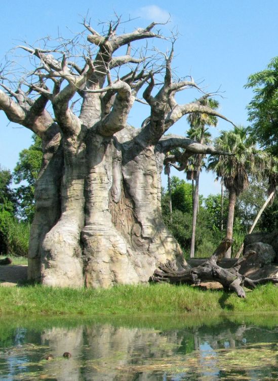 9-10_WDW_1911