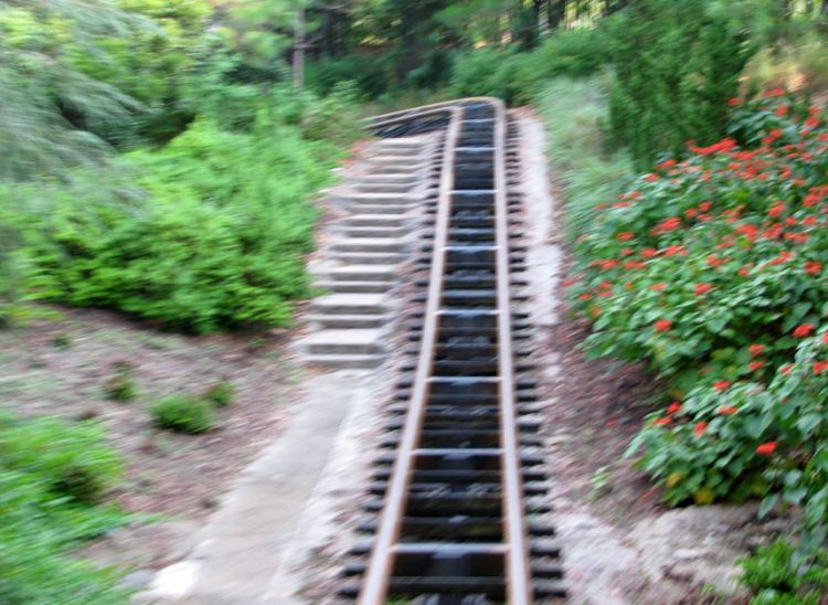 9-10_WDW_199
