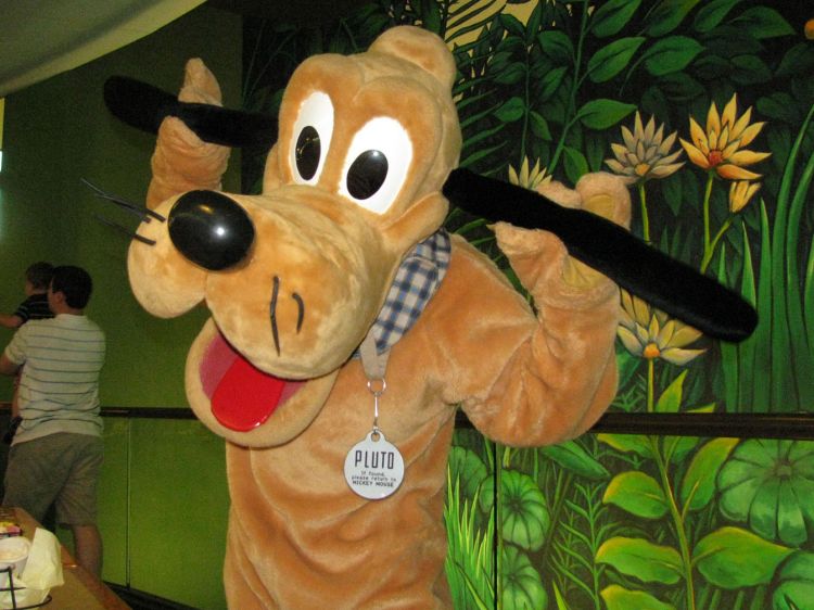 9-10_WDW_232