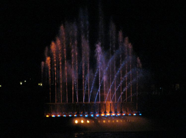 9-10_WDW_241