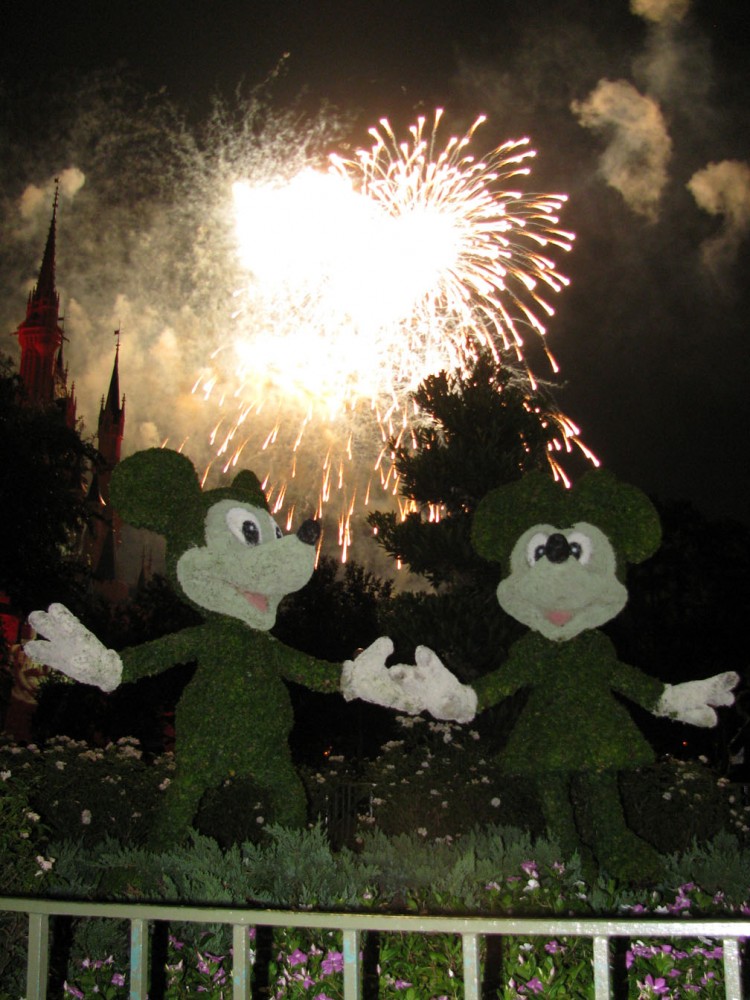 9-10_WDW_329