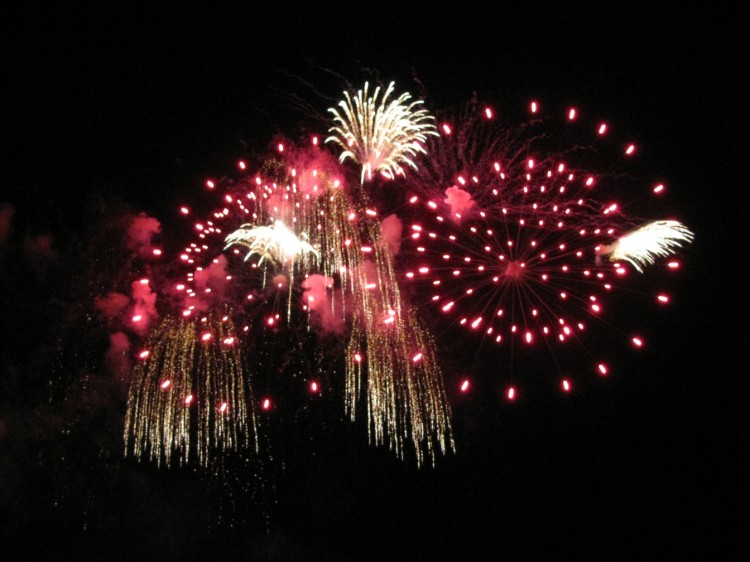 9-10_WDW_335