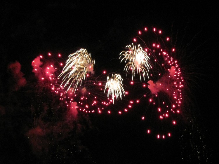 9-10_WDW_336