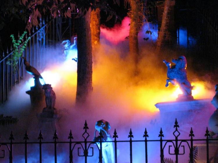 9-10_WDW_341