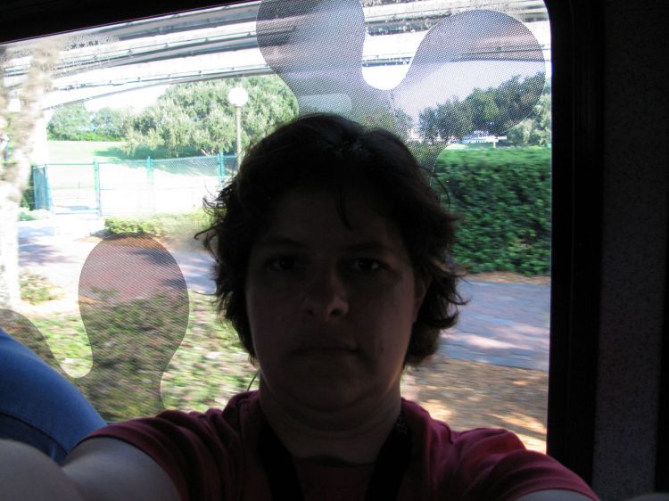 9-10_WDW_381