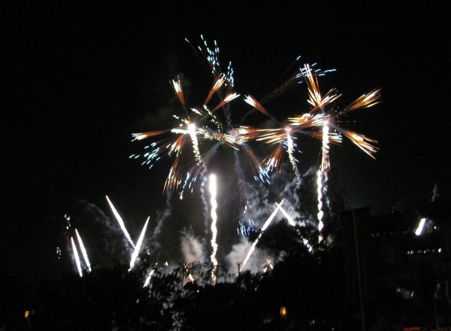 9-10_WDW_466