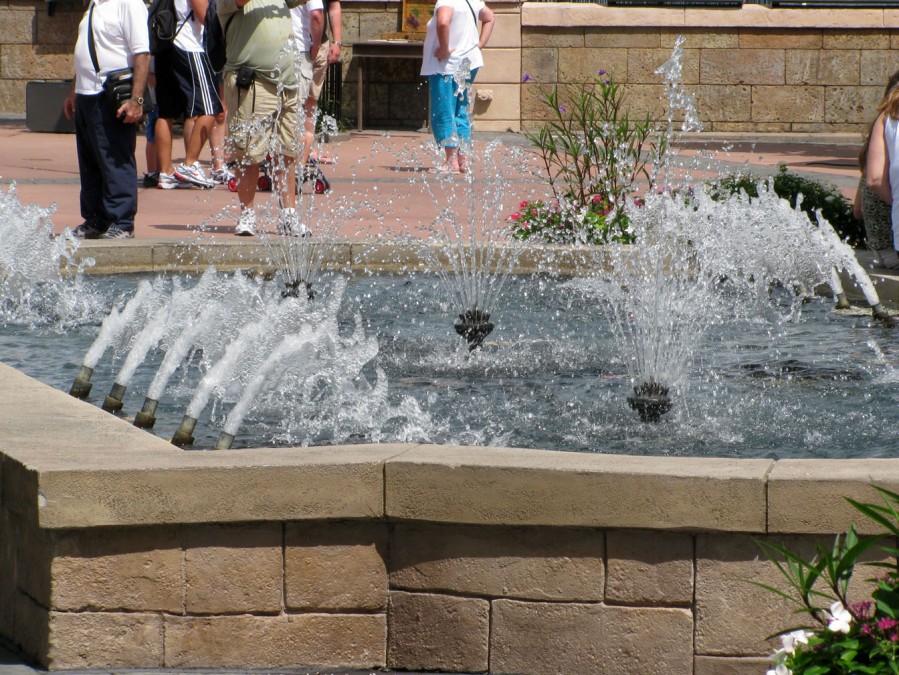 9-10_WDW_518