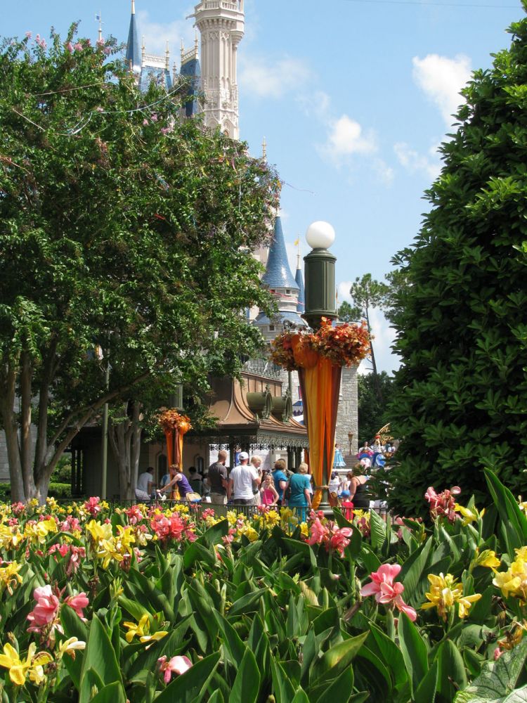 9-10_WDW_52