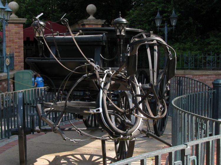 9-10_WDW_59